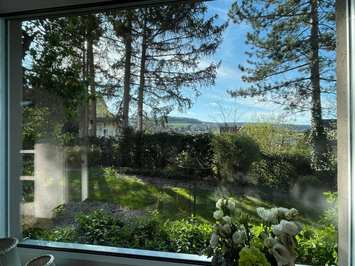 Gartenapartment Mit Ausblick Stadtnah Bad Mergentheim